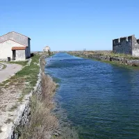 Muzej ponižan, ker deluje kot berač