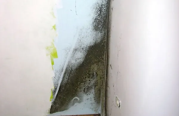 &Scaron;tiri vpra&scaron;anja za nadzornike