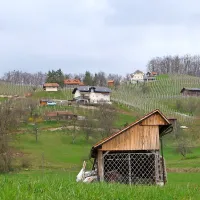 Občina Šentrupert ima 25 majhnih in raztresenih vasi, v vseh 
skupaj živi le 2800 prebivalcev. 
