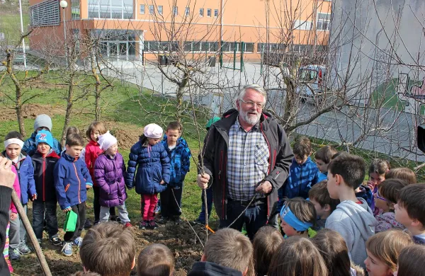 Kmetijski svetovalec Miran Sotlar  je otroke in starše poučil, 
kako pravilno saditi in obrezati sadno drevje. Na šolskem vrtu 
so poleg jablan, hrušk in češenj posadili tudi maline in 
šparglje. 