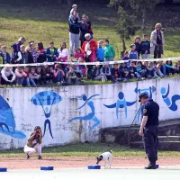 Megi in Spidi sta ukradla otro&scaron;ka srca