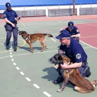 Megi in Spidi sta ukradla otro&scaron;ka srca