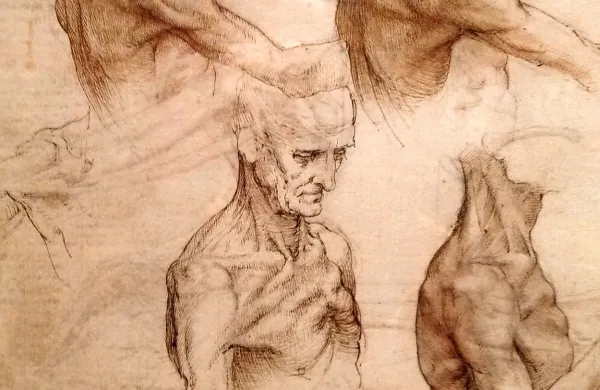 Na čelu razvoja zgodnje novoveške anatomije sta Leonardo 
da Vinci (1452-1519), pionir umetniške anatomije, in začetnik 
znanstvene anatomije Vesalius (1514-1564).