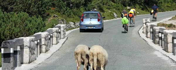 Zakaj Slovenija ni država ali bov&scaron;ki primer