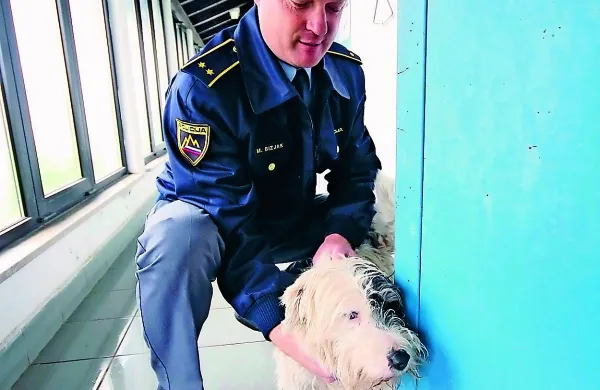 Bodo naše osnovne šole kmalu začeli obiskovati policisti v 
spremstvu  psov za odkrivanje drog? 