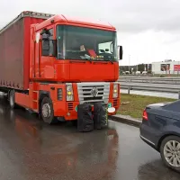 Psička Megi je nakazala, da je v kabini tovornjaka celjske 
registracije, pod posteljo, skrita prepovedana droga, nato pa 
je ob robu parkirišča nakazala še na drugi del rekordnega 
tovora. 
