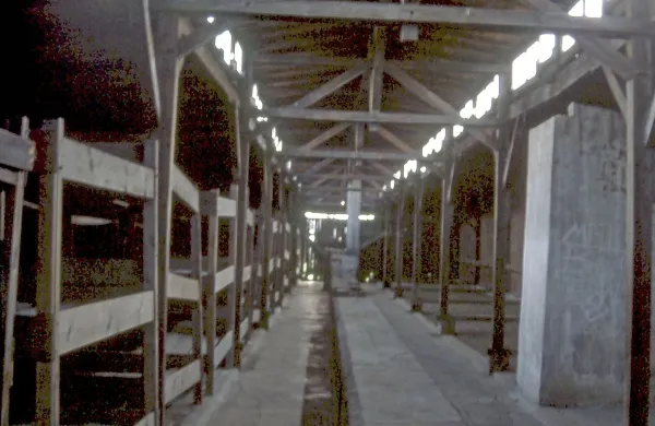 Koncentracijsko taborišče Auschwitz-Birkenau na Poljskem, 
prizorišče množičnega umora.