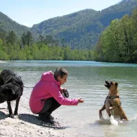 Ljuba Cjuha in še mnogi bi se na Sotočju radi sprehajali celo 
poletje, vendar je v času festivalov  dostop možen le z 
nakupom karte. 
