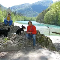 Domačini bi, ko ni festivalov,  radi posedeli pri bifeju, kot v 
preteklosti, vendar kaže, da ga   nihče ne bo postavil.