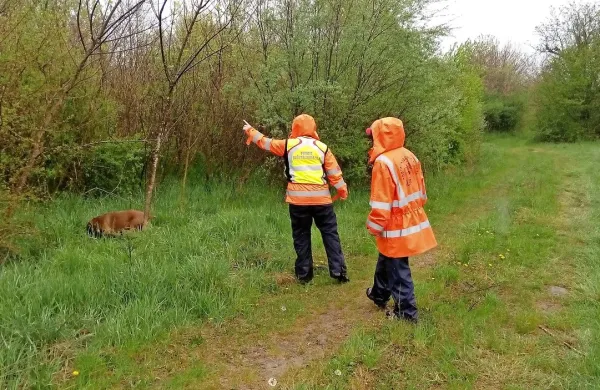 Na petkovi prikazni vaji na Ajševici so med drugim sodelovali 
tudi člani Enote reševalnih psov Tolmin.