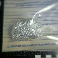 Med preiskavo v Kačičah so našli tudi 20 gramov kokaina.