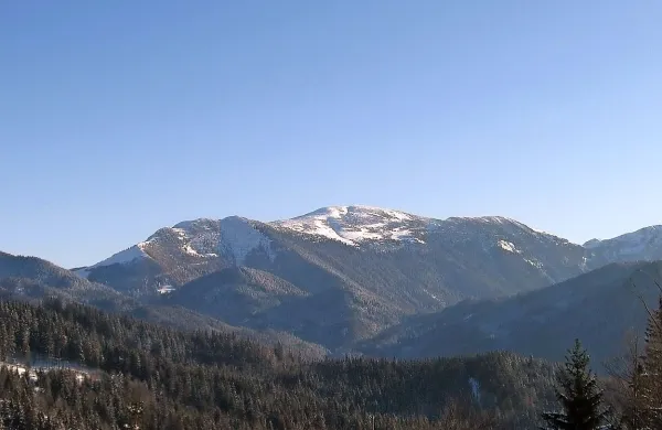 Struška