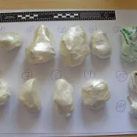 V akciji Bubi so koprski in italijanski kriminalisti zasegli kar 
kilogram in pol kokaina.