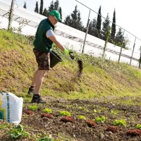 Suha in zbita zemlja, s kakršno se že srečujemo letos, terja 
več skrbi. 