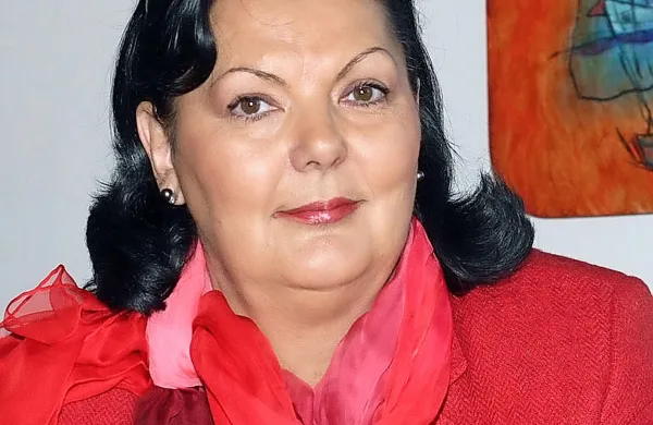 Vojka Štular: “Ni ustreznih pisnih dokazil o 
znanju tujih jezikov, le Strajnarjeva pisna izjava, 
da jih govori.” 