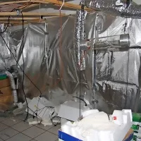 Oktobra lani so policisti v okolici Postojne našli  prostor za 
gojenje konoplje.