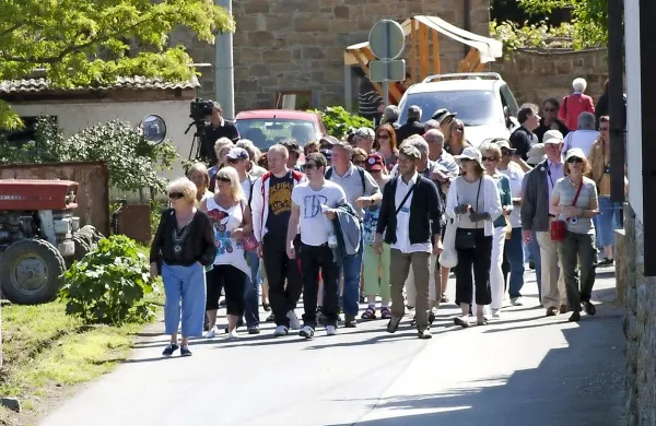 Praznična olje in bledež v Padni
