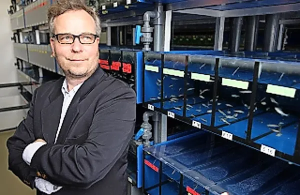  Profesor zoologije Axel Meyer zapisal, da nemškim študentom “brišejo zadnjice ter jim z razumevanjem in veliko 
skrbnostjo opravičijo vsako nesposobnost in lenobo”. 