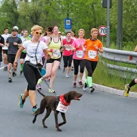Maratonka Žana Jereb najbolj&scaron;a na dobrodelnem teku