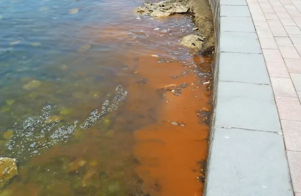 Oranžno, a ne nevarno morje
