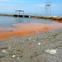 Oranžno morje je posledica naravnega pojava, običajnega za april in maj. Težje je najti opravičilo za smeti, ki  plavajo med 
oranžnimi zaplatami in jih je morje naneslo tudi na obalo Simonovega zaliva - praznih jogurtovih lončkov, kosov plastike, vrečk 
in podobnega.

