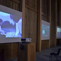 Sodobna Istra  predstavlja šest video umetnikov iz Italije, Slovenije in Hrvaške.  