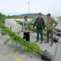 Ekipa Vodne postaje (z leve): Tanja Godnič, Borut Benedejčič 
in Matic Sever.
