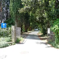 Uvoz na območje nekdanje vrtnarije v Portorožu. 