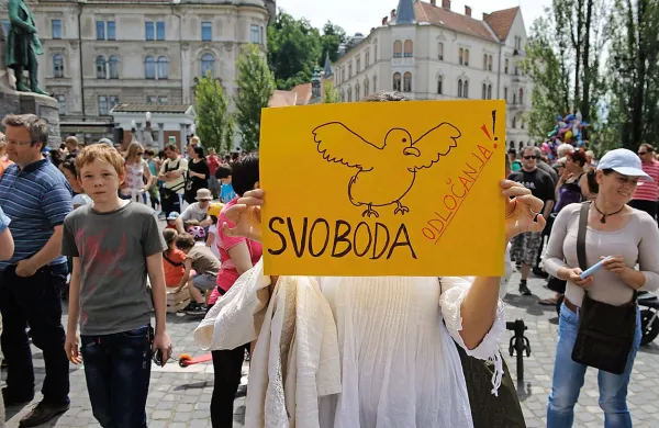 Nasprotniki cepljenja trdijo, da bi morala z ustavo določena 
pravica, kakršna je nedotakljivost telesa, obveljati tudi v 
njihovem primeru.