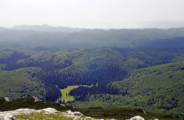 Izolan se je v megli na Snežniku izgubil in odtaval na 
Gomance.