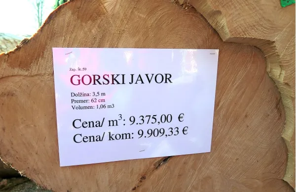 54 delavcev Javorja Vezane plošče se je iz obupa odločilo 
presekati agonijo in je vložilo predlog za stečaj družbe. 