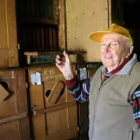 Stanko kaže panj, ki ga je podedoval od svojega očeta in je najmanj deset 
let starejši od njega. Vanj je leta 1940 ujel svojo prvo čebeljo družino.