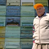 Od 30 panjev ima v svojem čebelnjaku danes le šest 
družin.