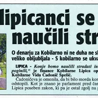 Leta 2002 je bila lipiška kobilarna v škripcih ... In danes? Nič novega pod soncem ...