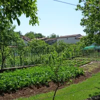 Vaščani Žirij imajo večino vrtov na območju med vasjo in 
avtocesto. In prav čeznje so načrtovalci narisali  novo železniško progo. 