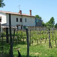 Ne samo trte, zaradi nove proge bi morala pasti tudi ta 
stanovanjska hiša. 
