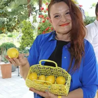 F114MMS_ZREB32Z0


