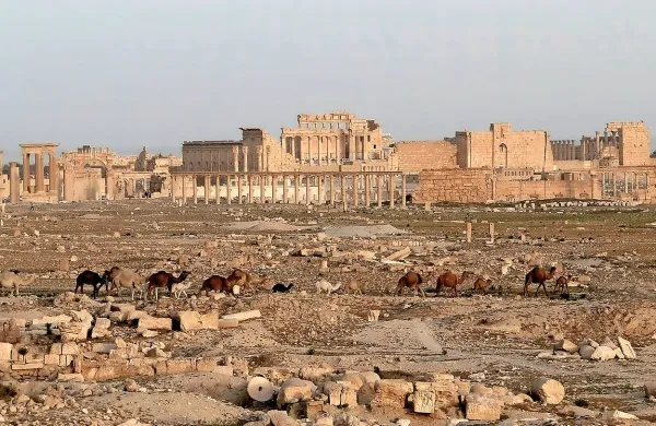 Palmira
