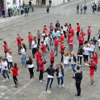 Koper