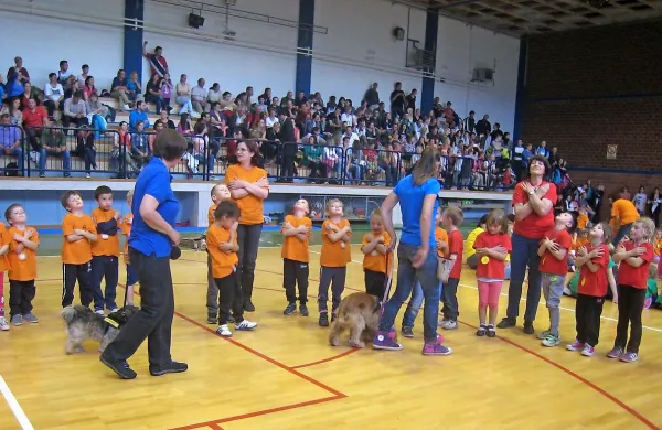Mini olimpijske igre in Tačke pomagačke
