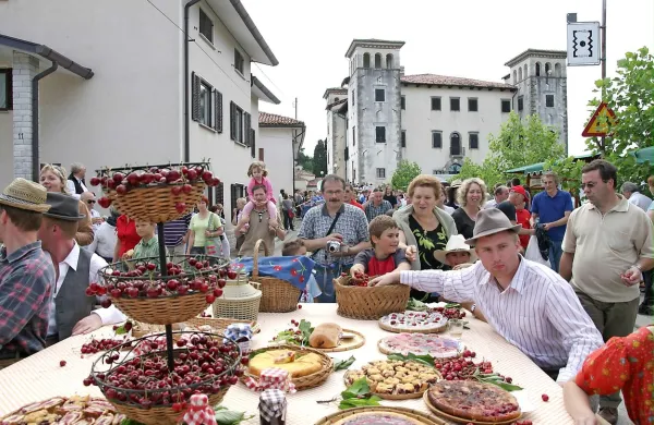 Menjavam v vodstvu zavoda in zdraham, ki so jih spremljale,  so v Brdih zagotovili, da ni 
bojazni, da bi bile junijske prireditve, vključno s praznikom češenj, ogrožene.