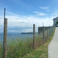 Valovanje in gibanje tokov v Tržaškem zalivu spremlja dvanajst  anten na ograji nad klifom pri 
piranski cerkvi. 