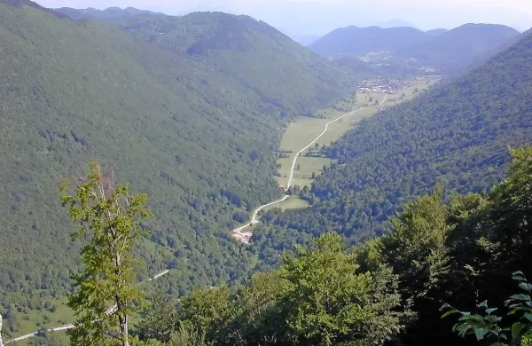 Čepovan
