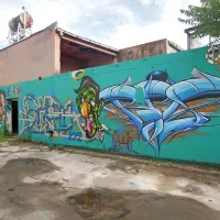 Grafite so ustvarili  umetniki iz Milana, Ljubljane in Istre.