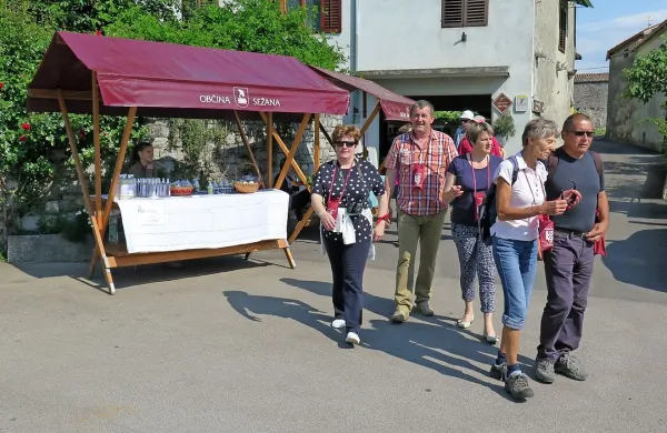 Kozarec je bil vstopnica v enajst kraških kleti. 