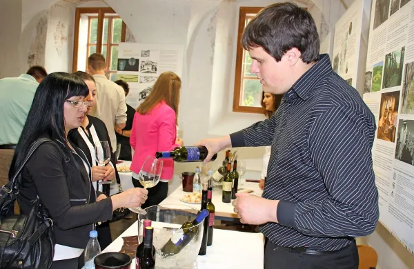 &Scaron;tudentski festival vin