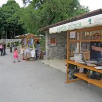 Od led svetil do  če&scaron;enj, &scaron;krl in  &scaron;krov