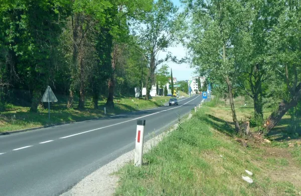 Krajani Seče že več let opozarjajo, da potrebujejo kolesarsko 
pot do Lucije, saj je hoja in kolesarjenje po glavni cesti 
nevarno. 