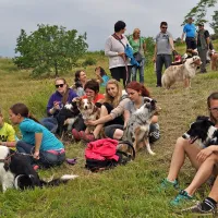 Odprtja učnega pašnika se je udeležila pisana druščina 
predvsem lastnikov škotskih, avstralskih in belih švicarskih 
ovčarjev ter psov pasme border collie. 
