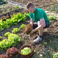 Kaj vse raste na Primorskem vrtičku? Pridite na Purissimo in 
si oglejte.